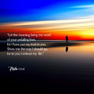 Meet your Posher, Holly